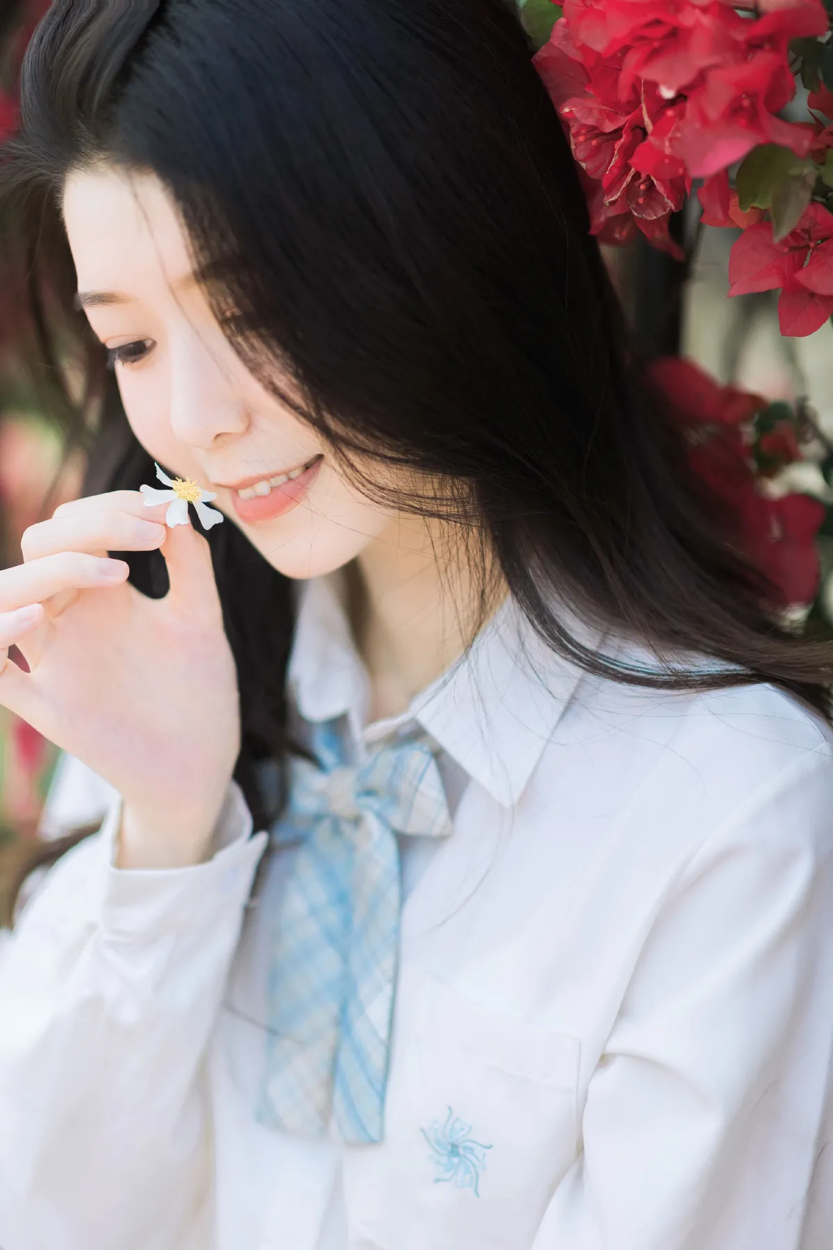 夏天的风