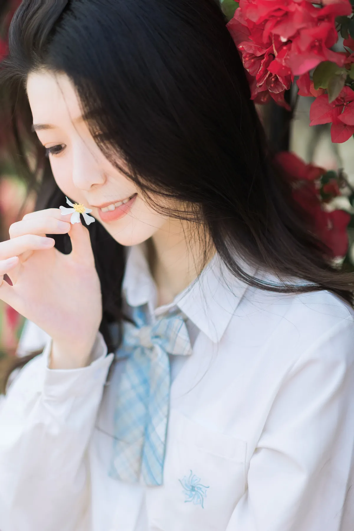 夏天的风3