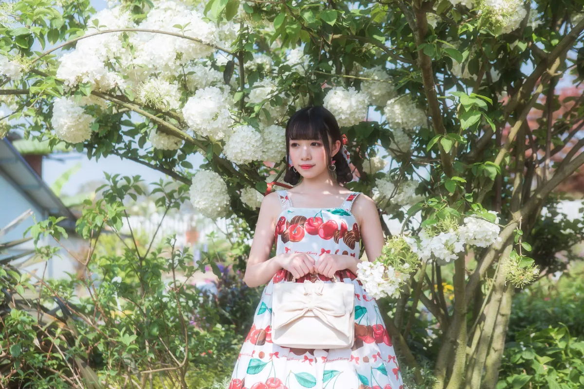 绣球花1