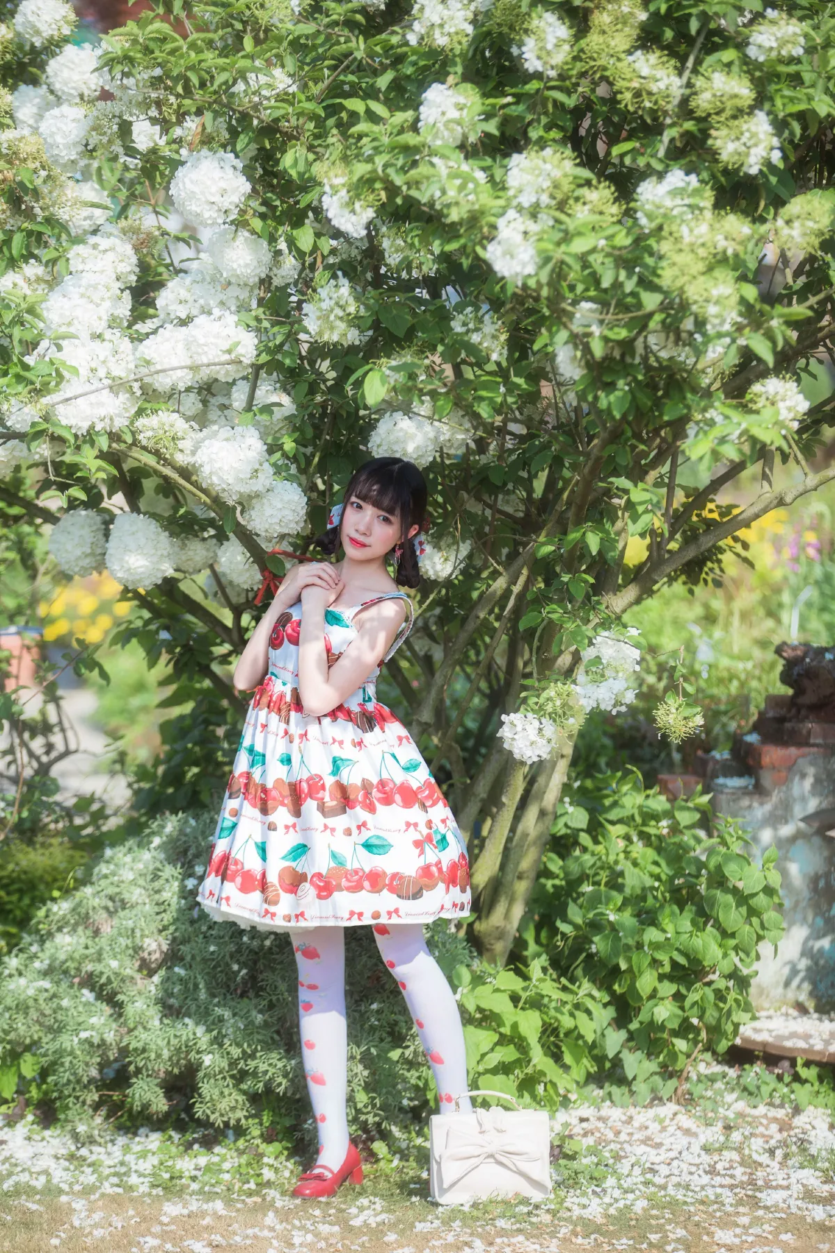 绣球花2