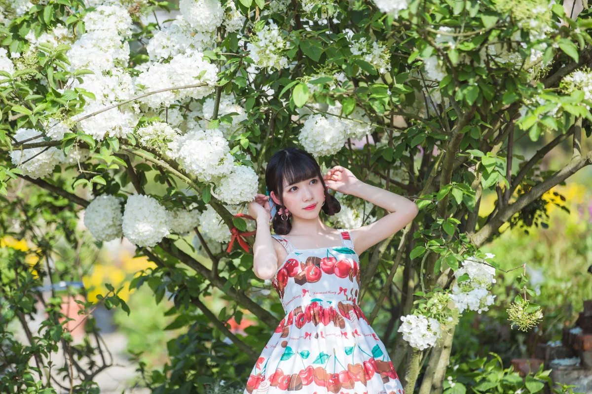 绣球花3
