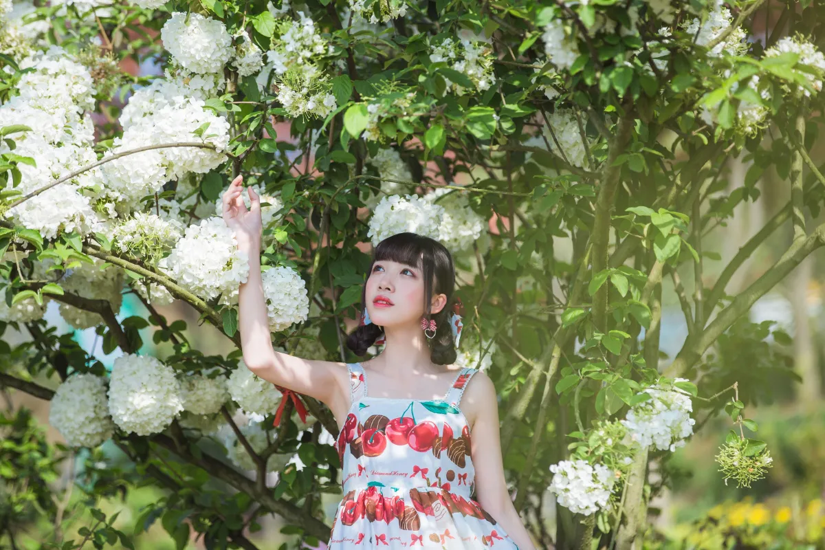 绣球花5