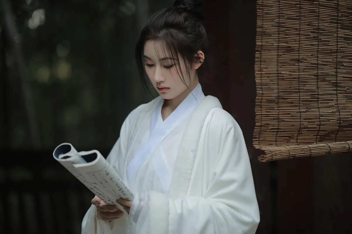 麒麟才子