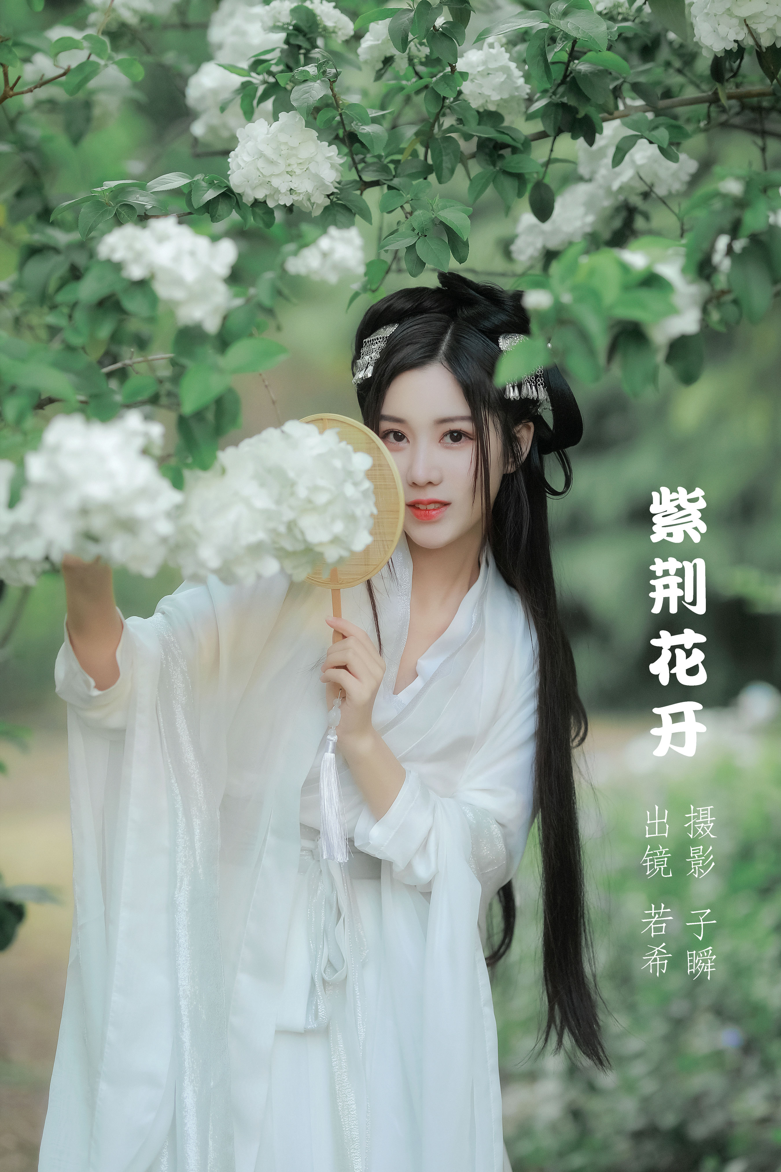 子瞬_若希icy《紫荆花开》美图作品图片1