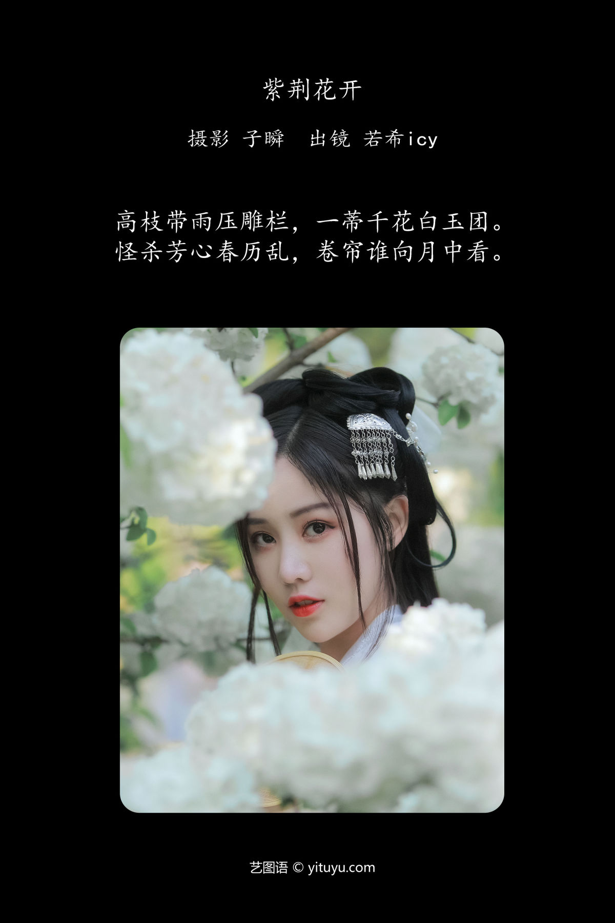 子瞬_若希icy《紫荆花开》美图作品图片2