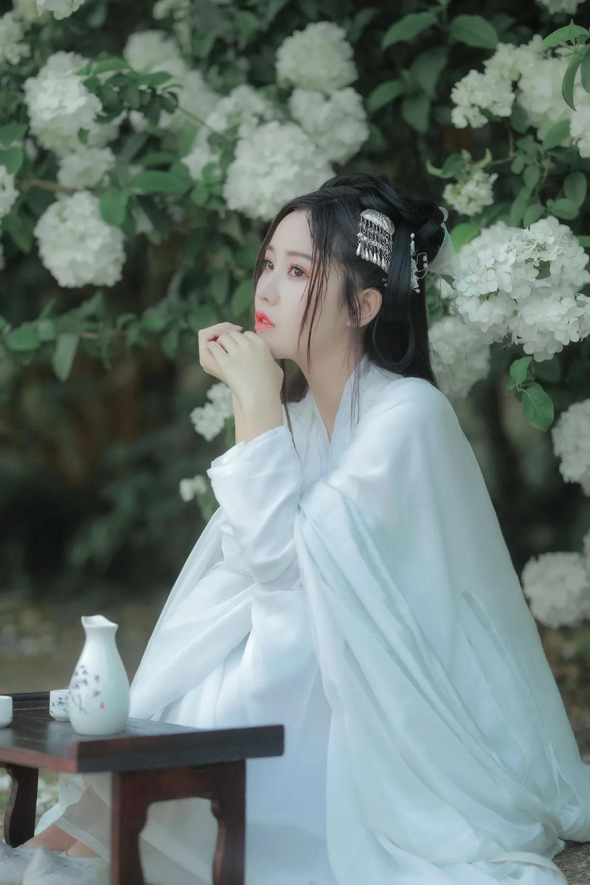 紫荆花开1