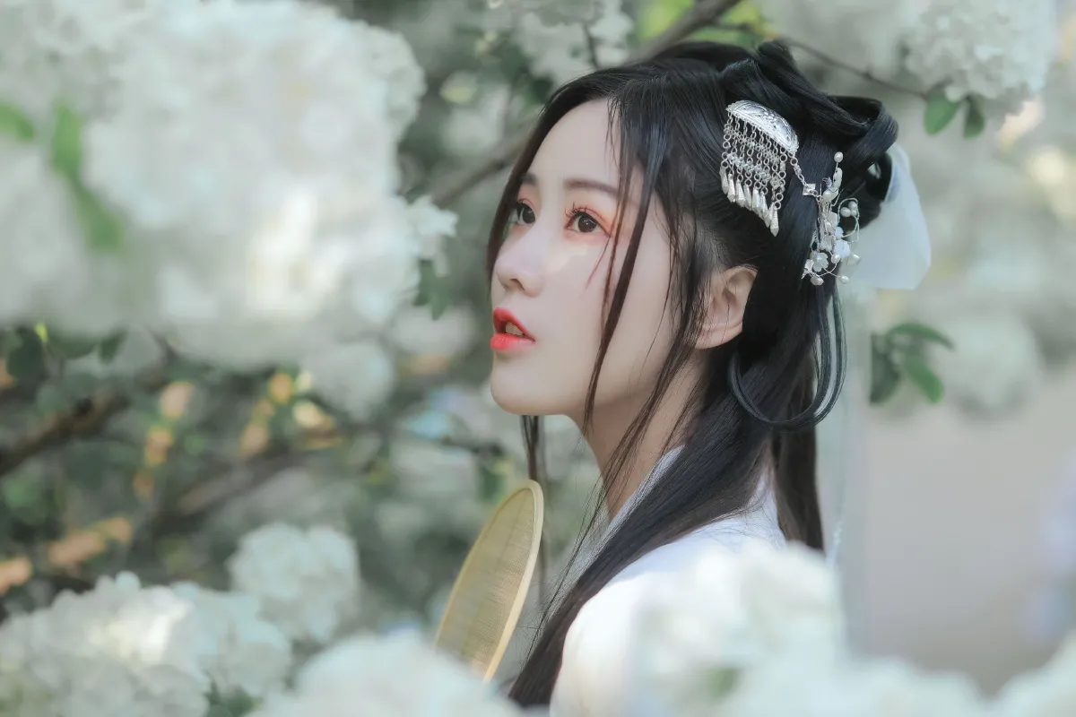 紫荆花开2