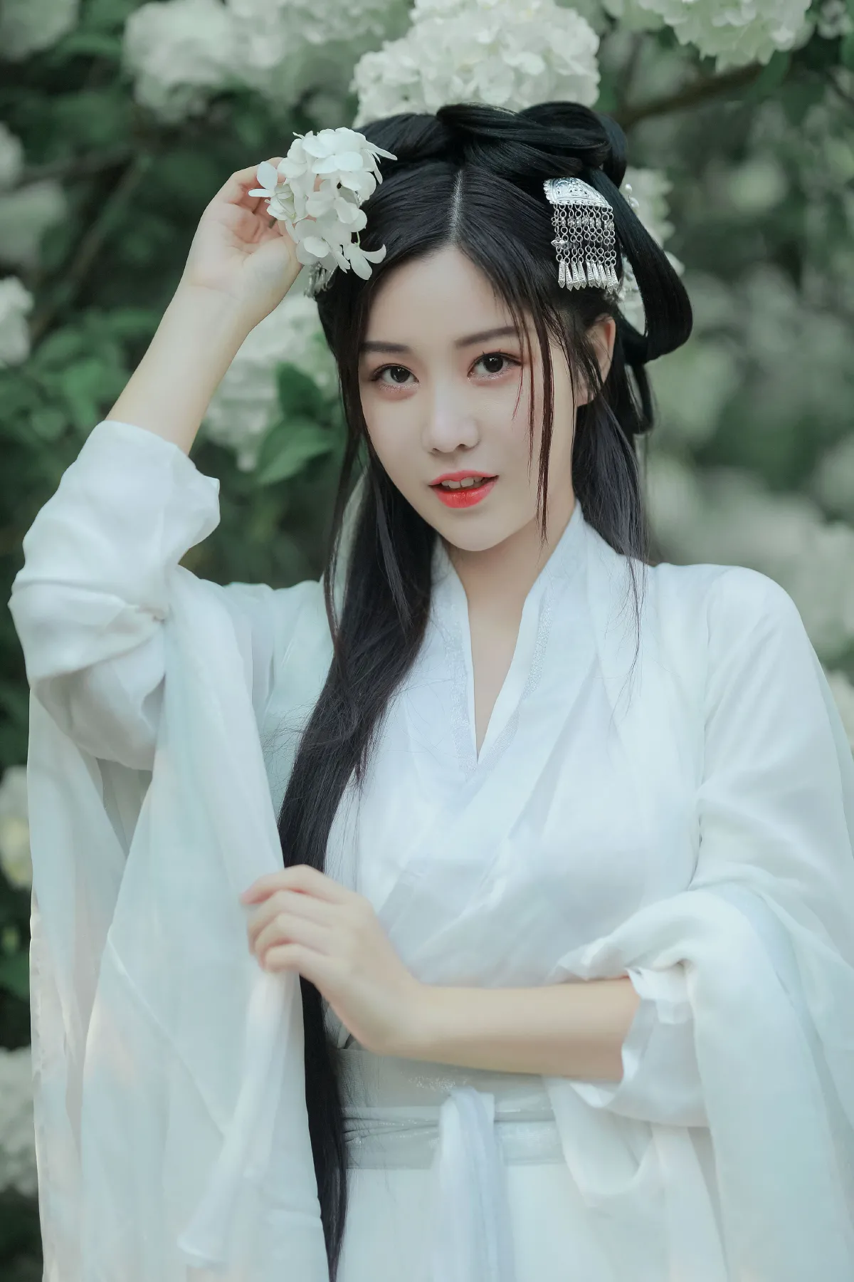 紫荆花开3