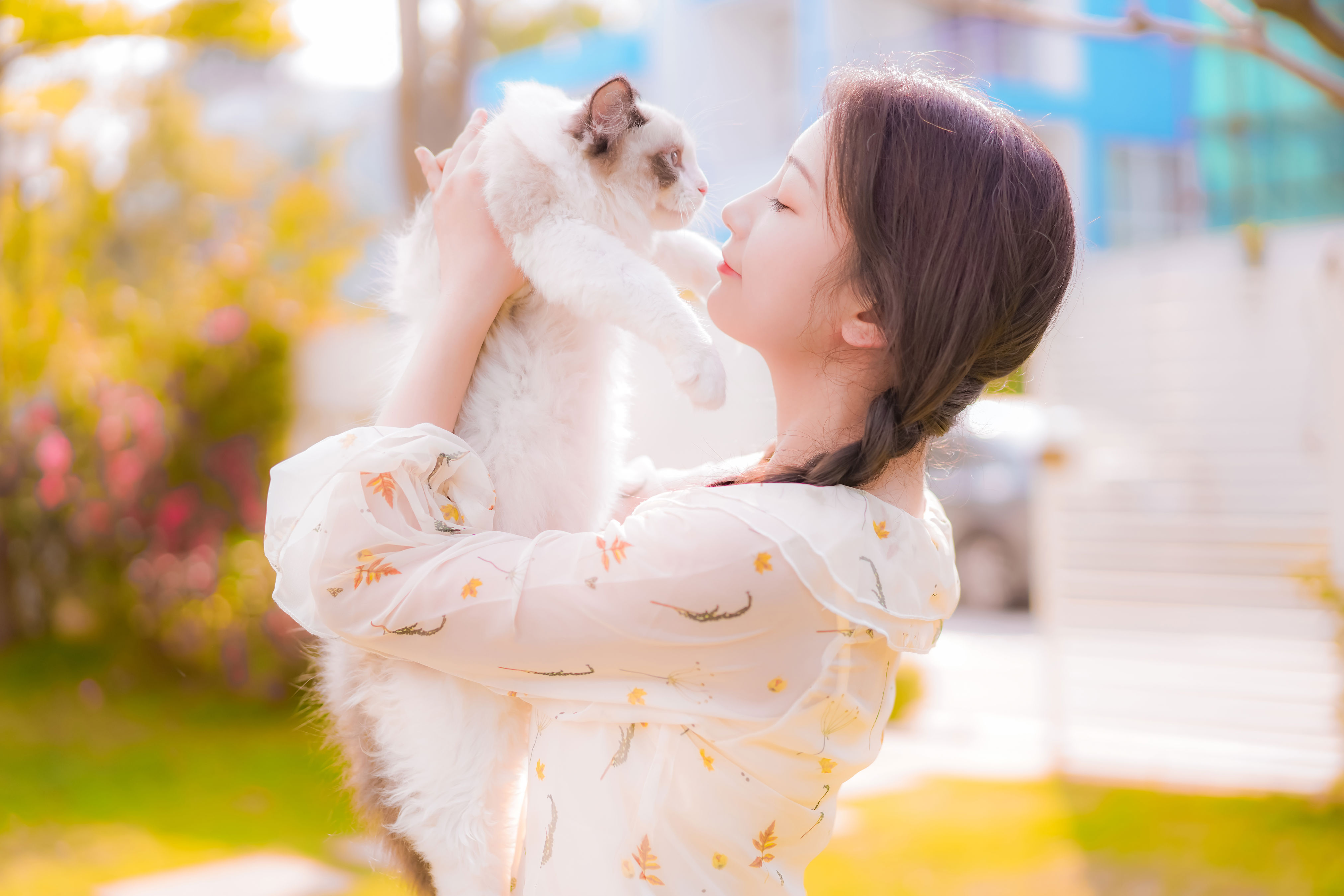 午后的温柔