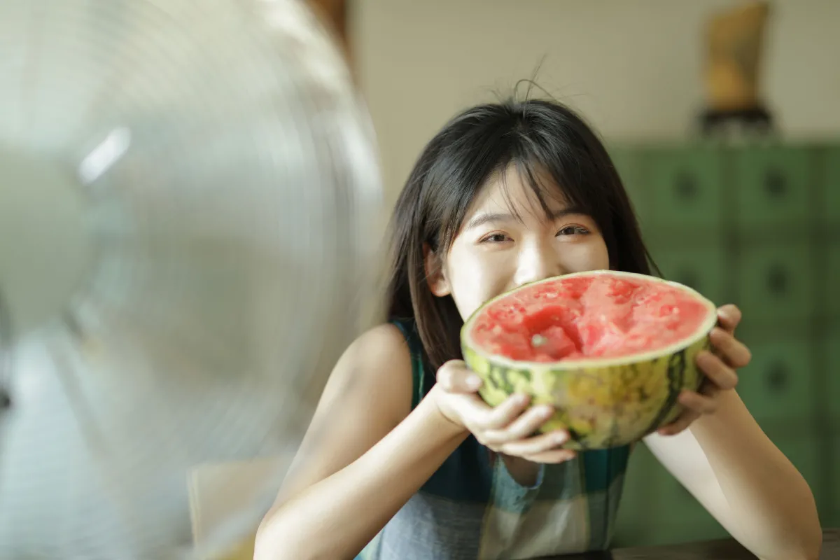 夏日 · 小森林