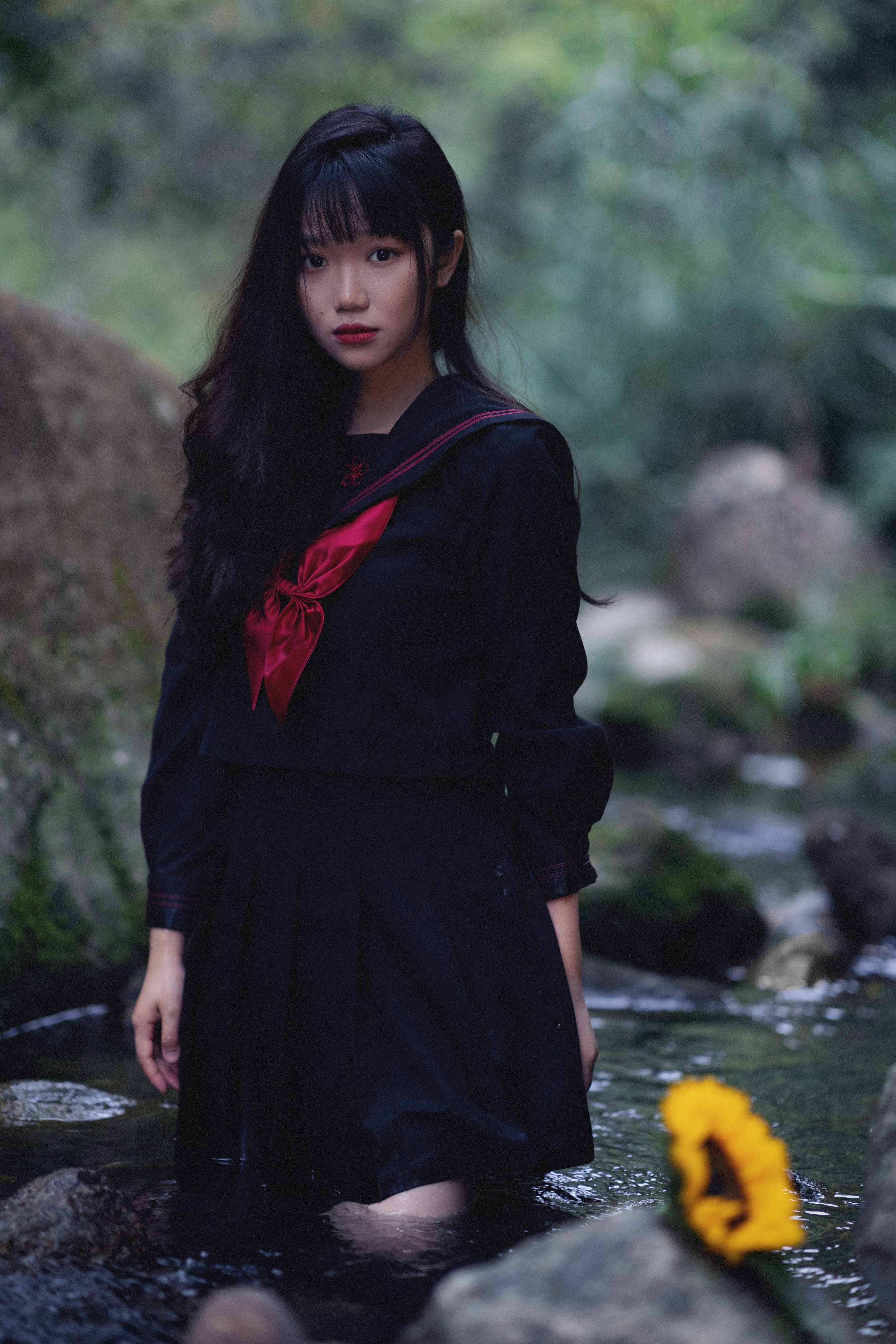 沉睡之森