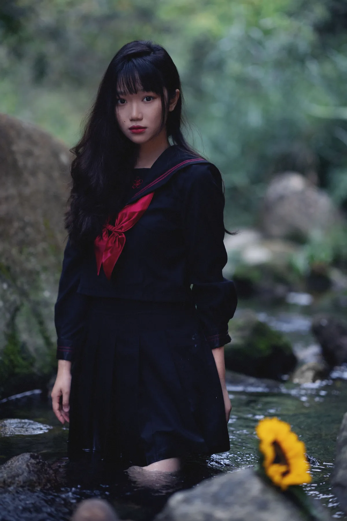 沉睡之森1