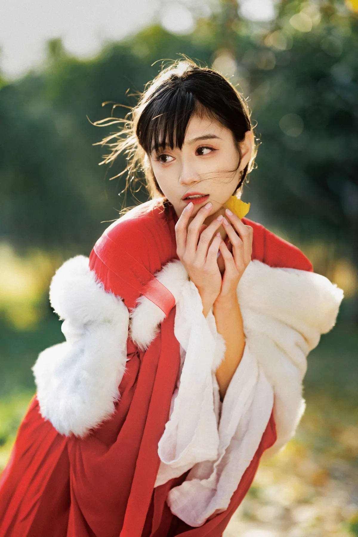 光感之美3