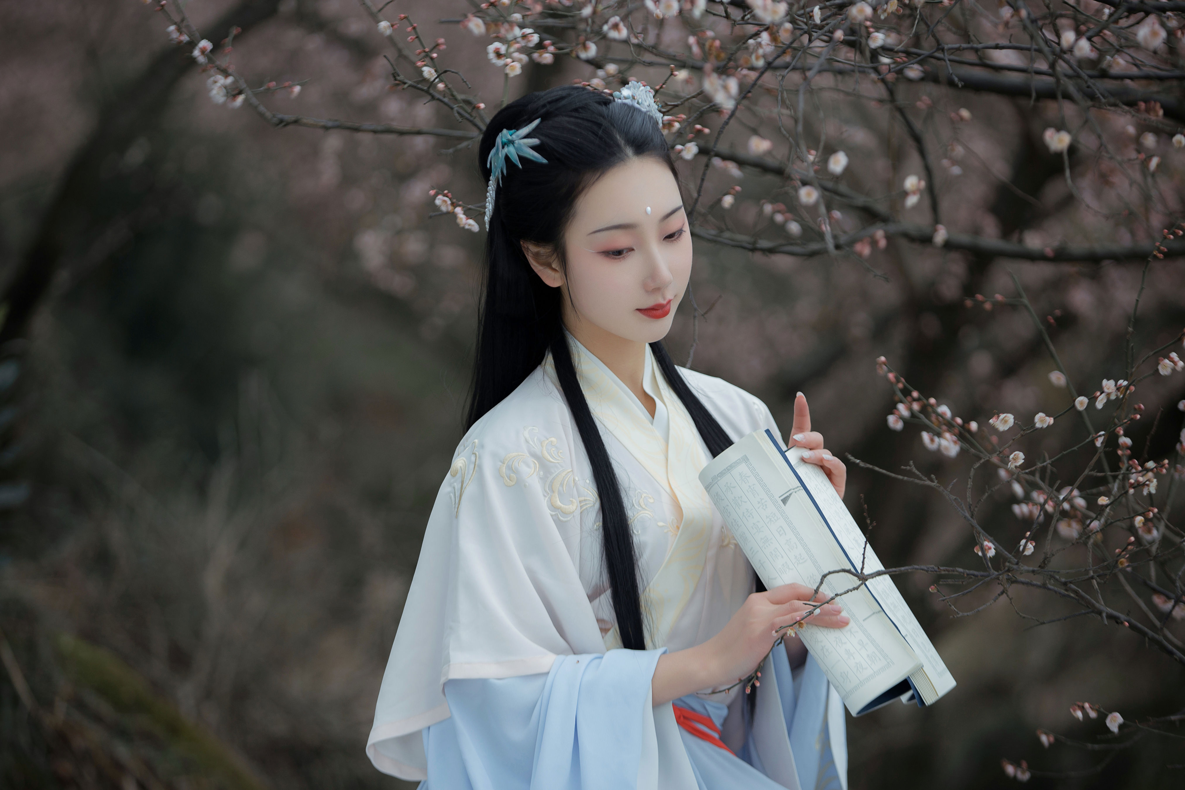 清佳