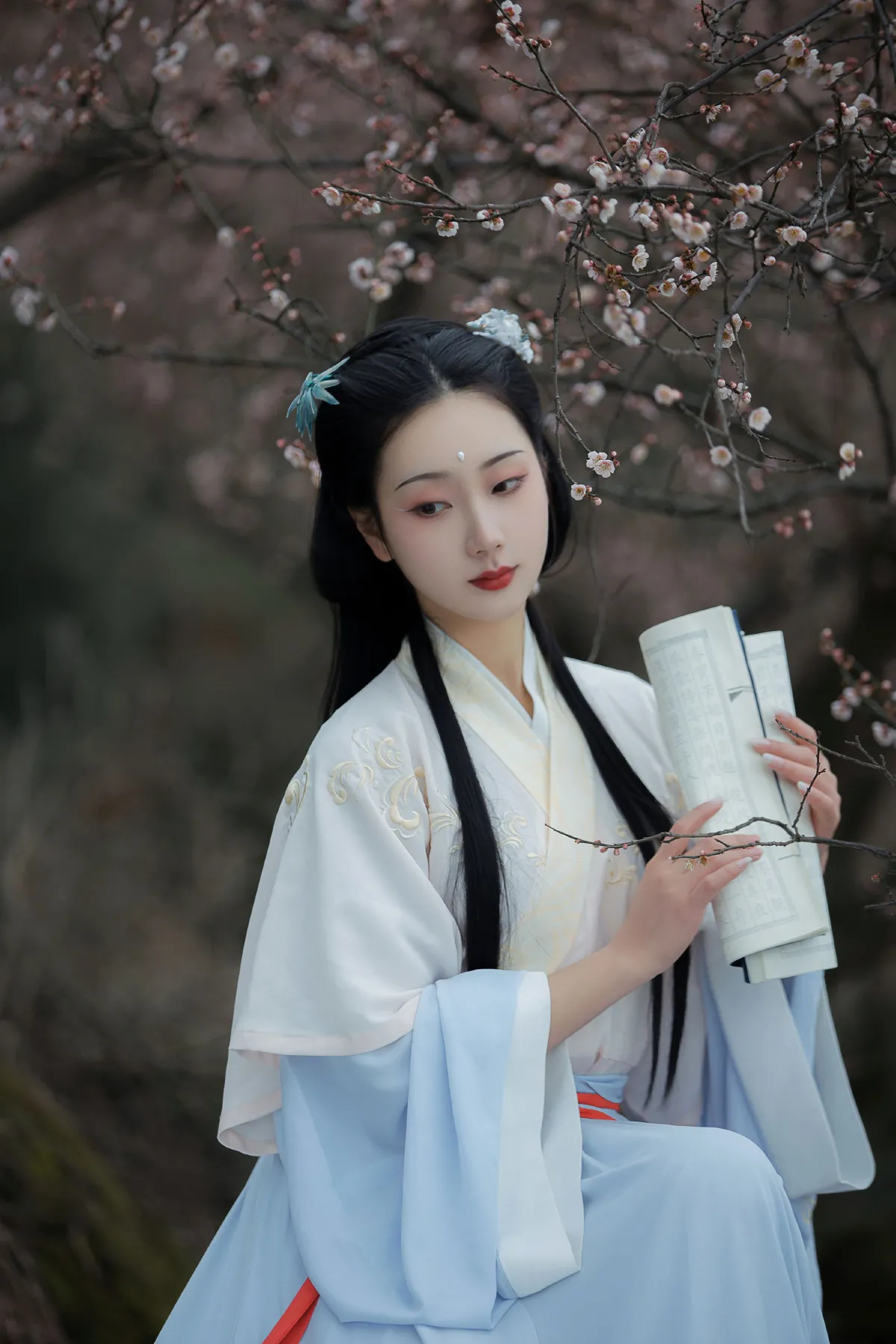 清佳