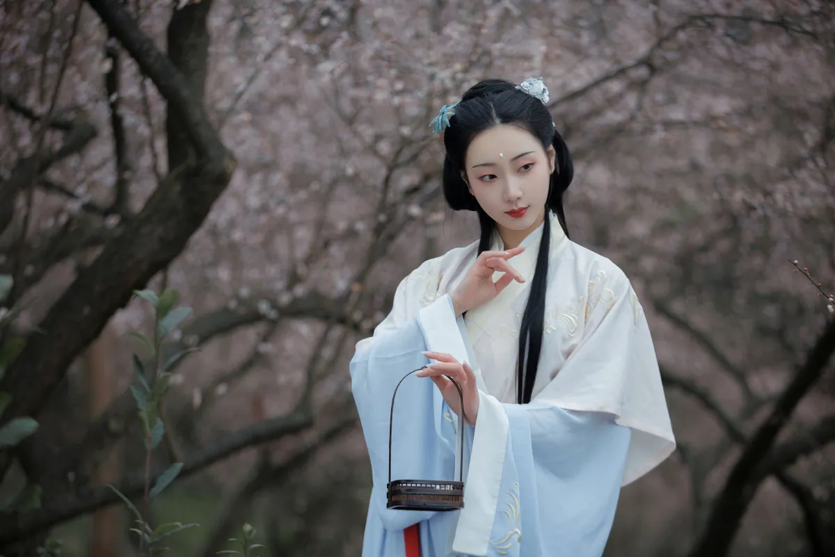 清佳
