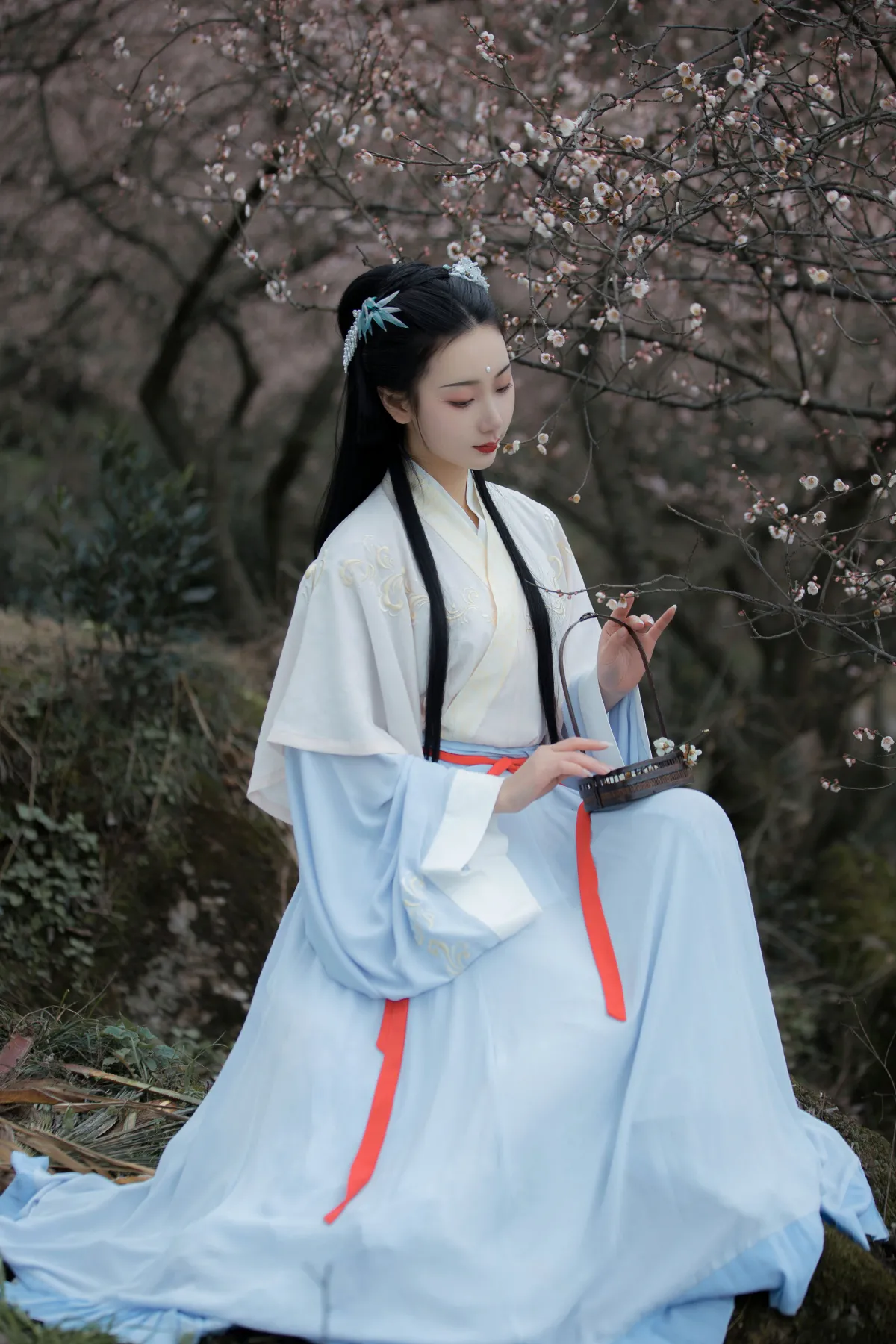 清佳