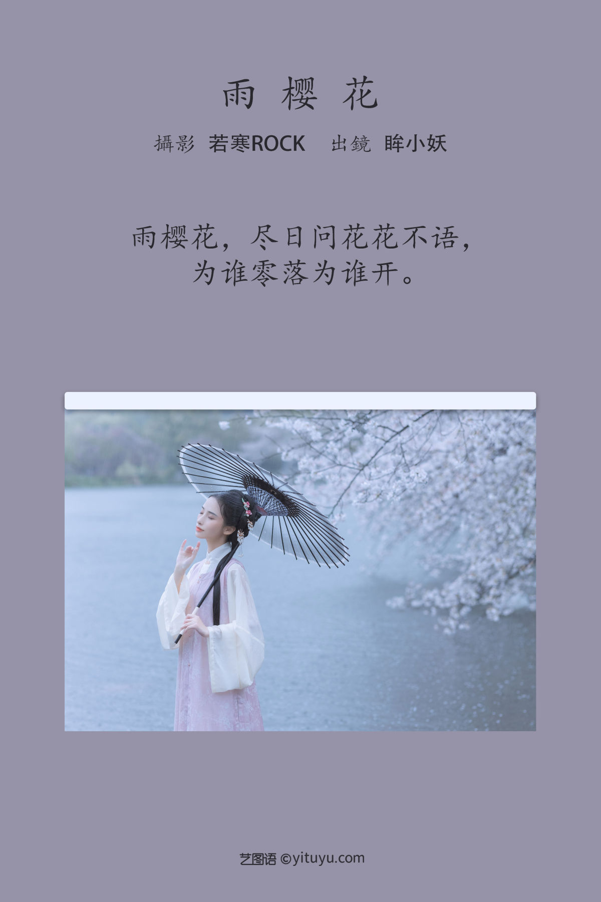 若寒Rock_眸小妖《雨樱花》美图作品图片2