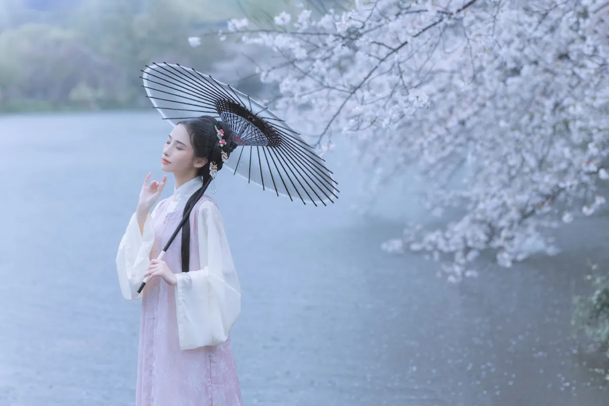 雨樱花