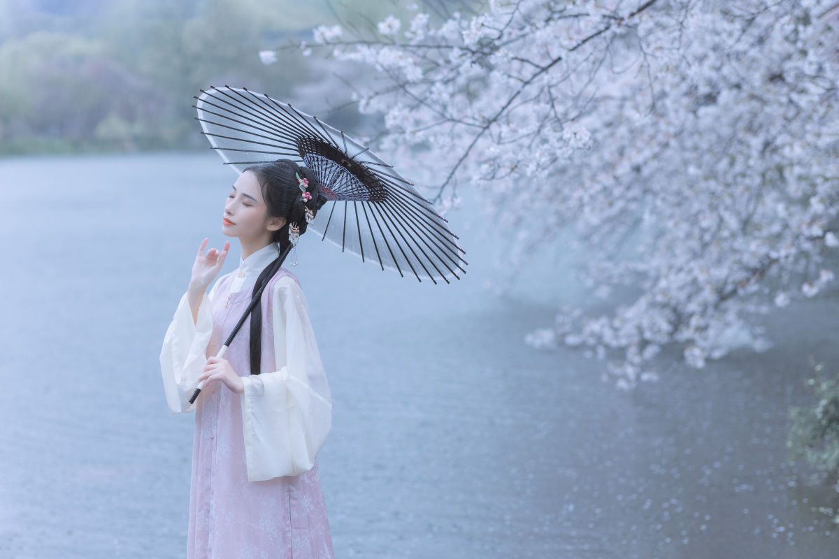 若寒Rock_眸小妖《雨樱花》美图作品图片4