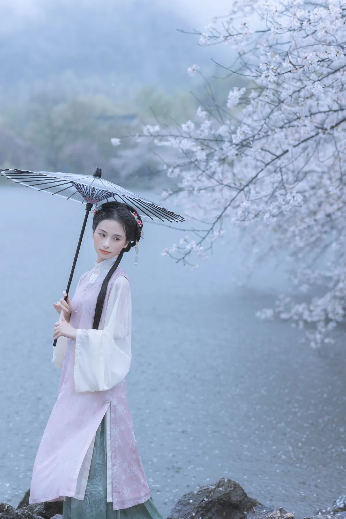 雨樱花3