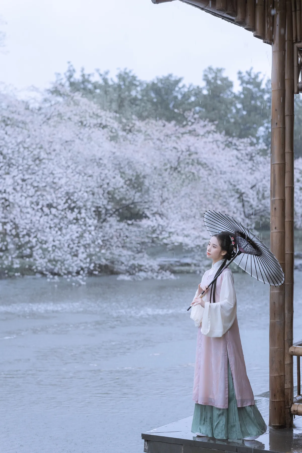若寒Rock_眸小妖《雨樱花》美图作品图片5