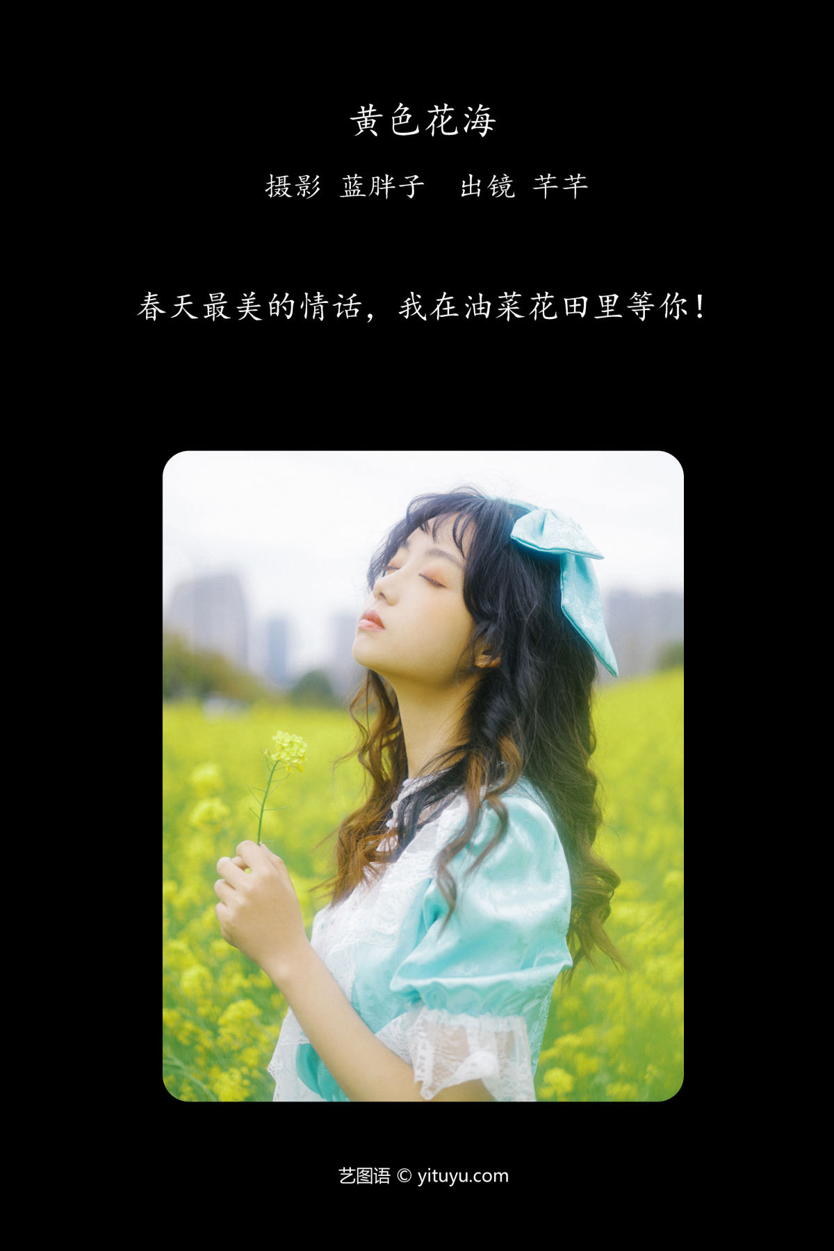 蓝胖子_芊芊《黄色花海》美图作品图片2