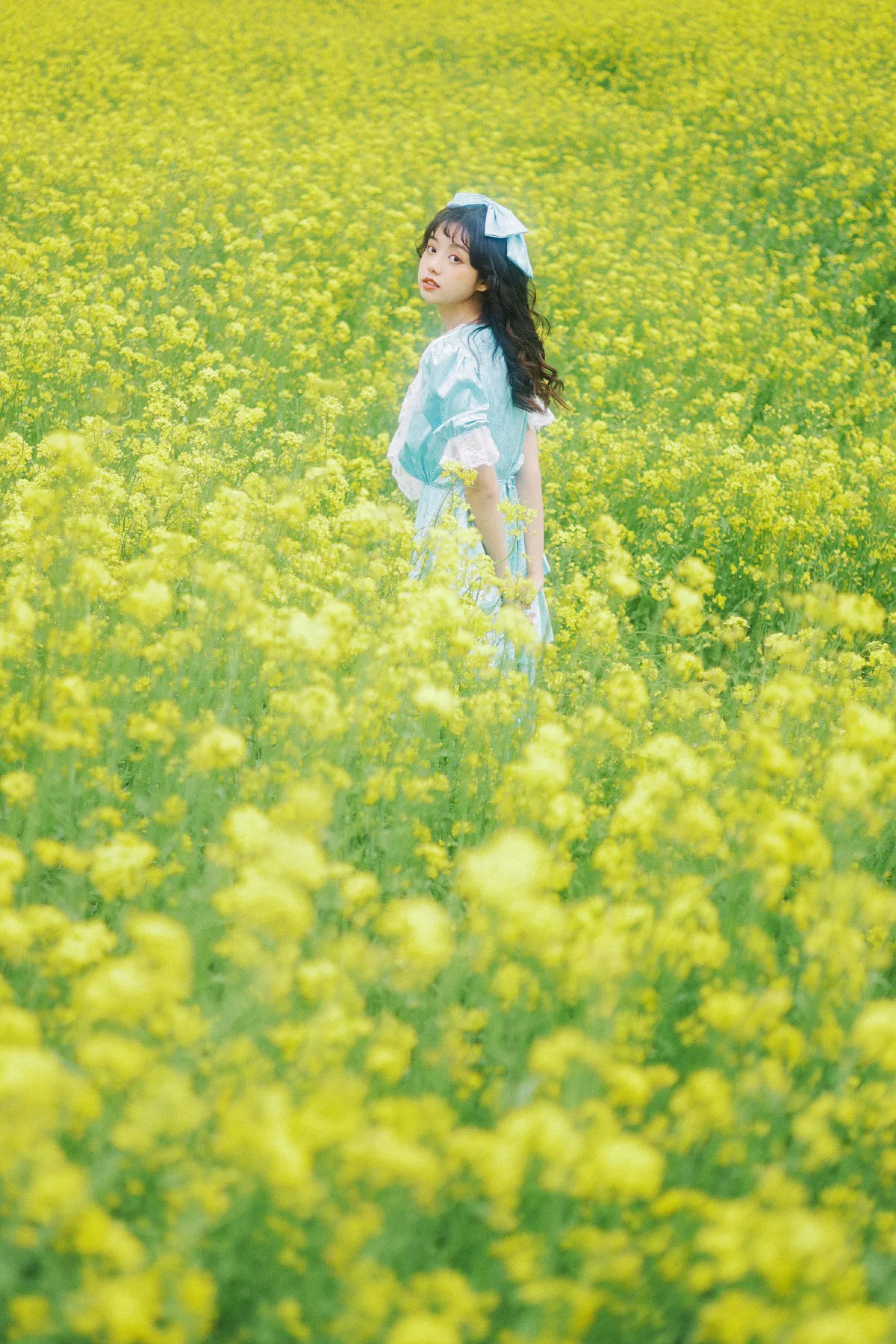 黄色花海1