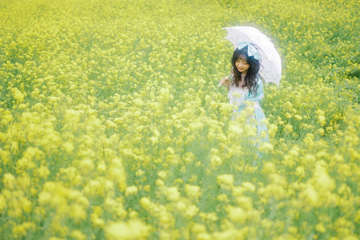 黄色花海