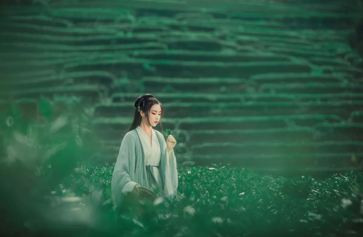 茶山2