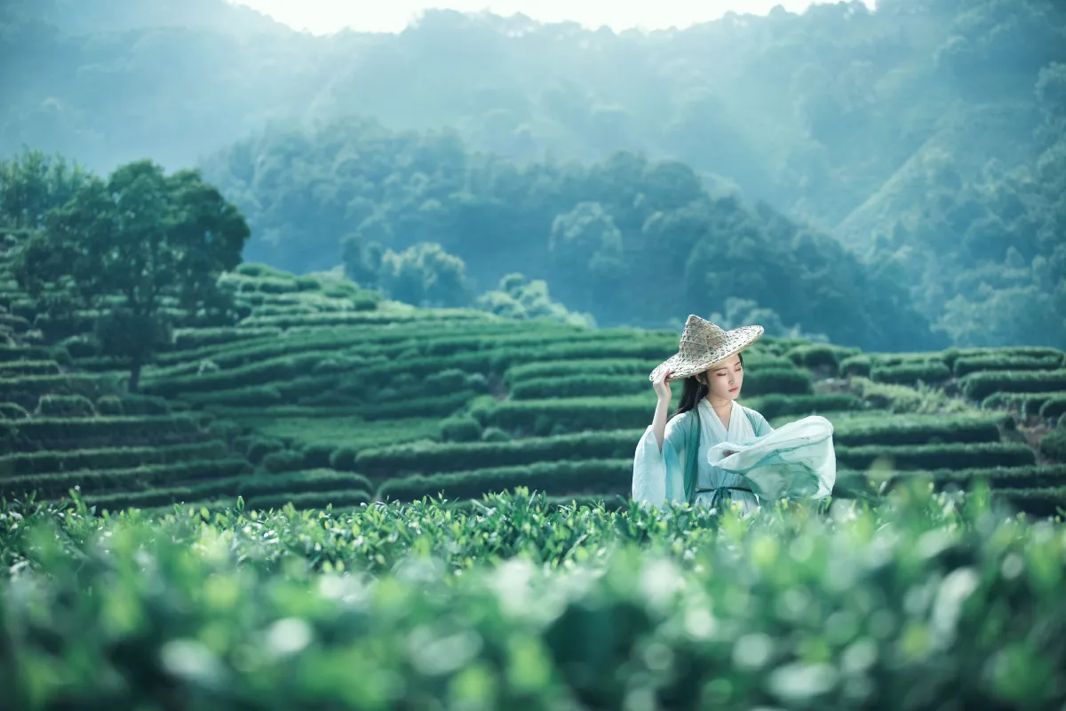 茶山