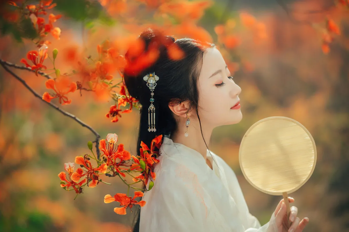 凤凰花开