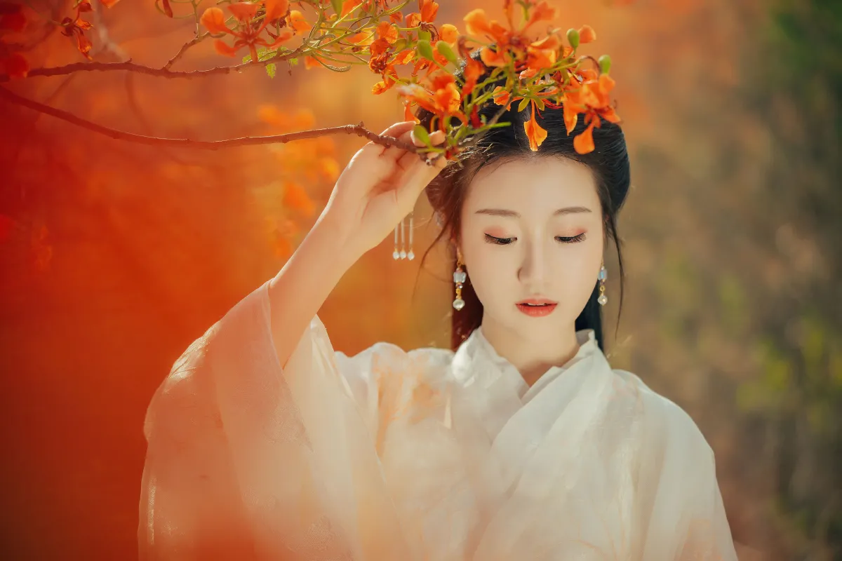 凤凰花开