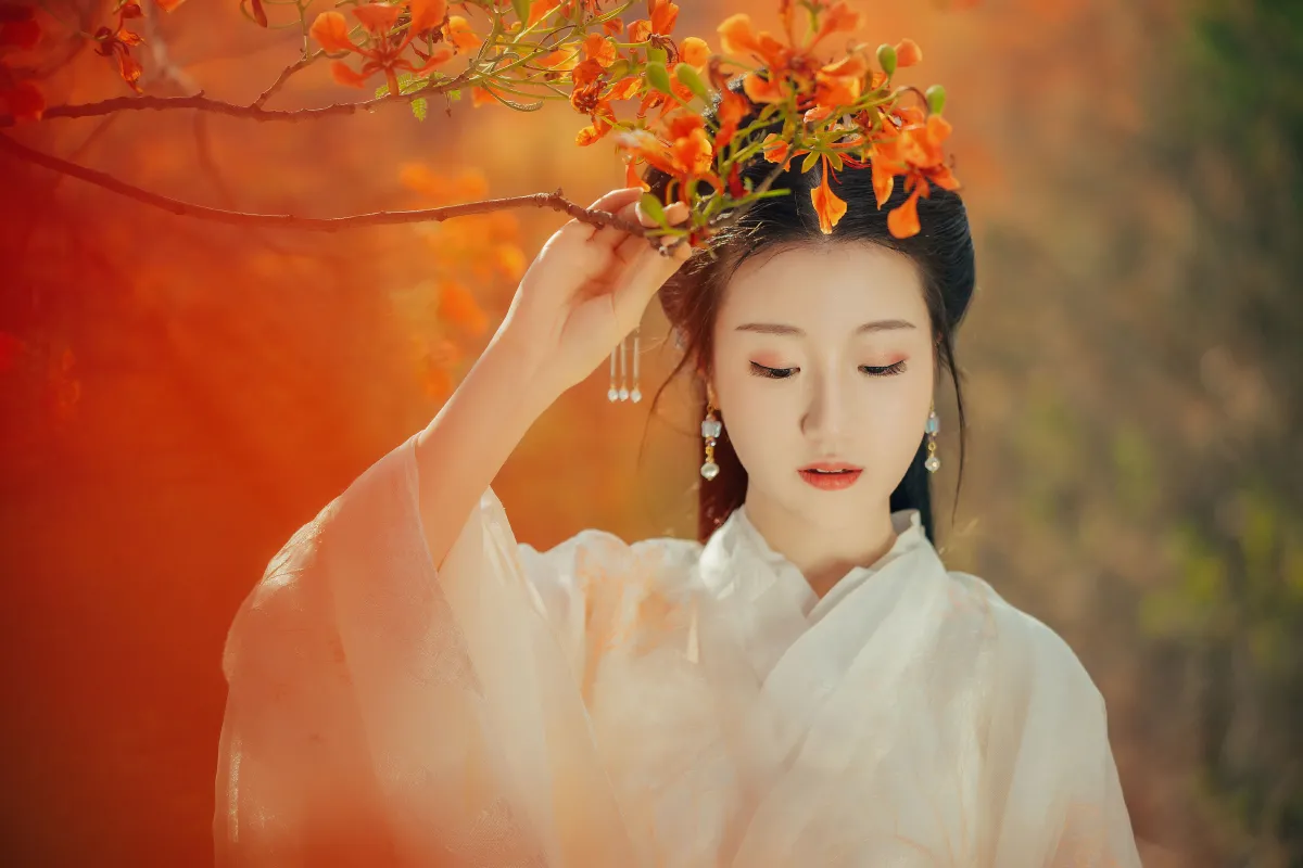 凤凰花开3