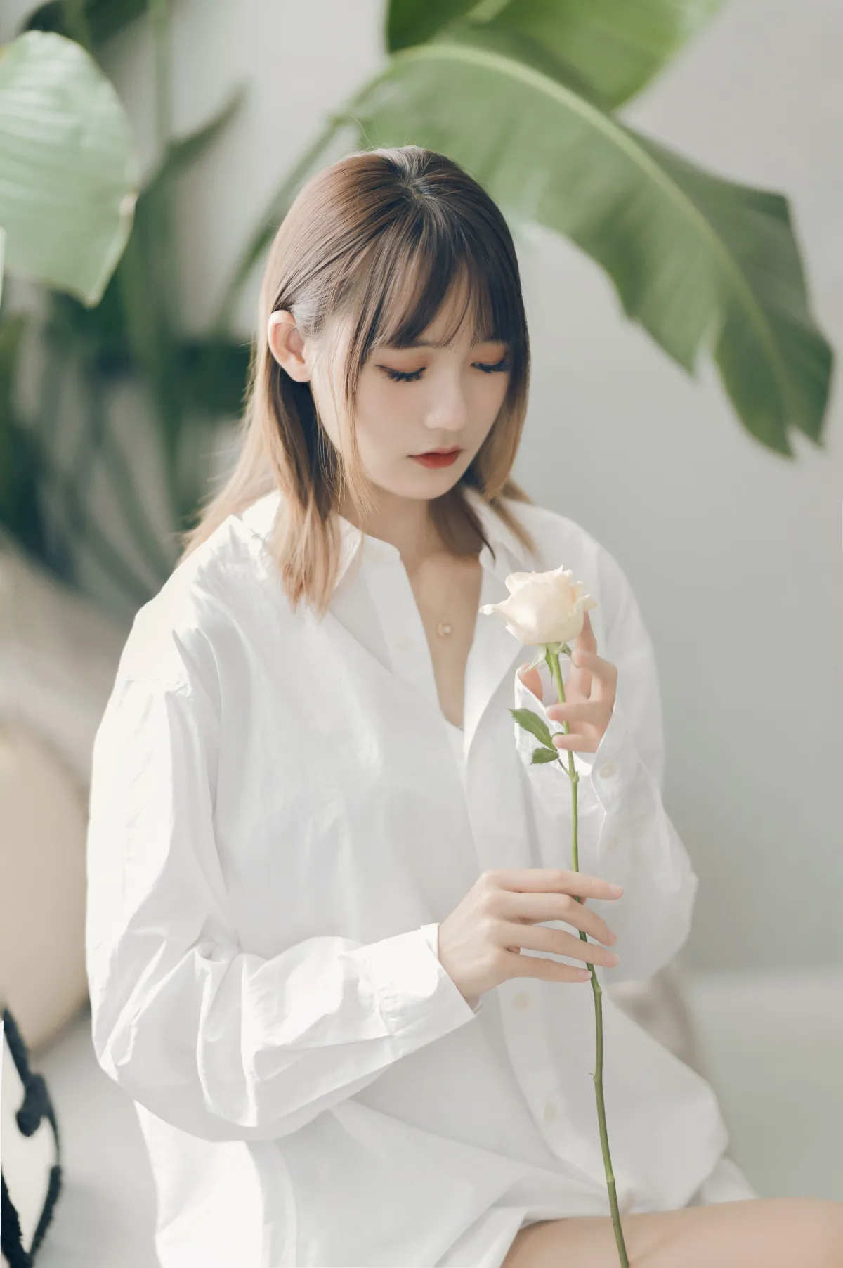 你的味道2
