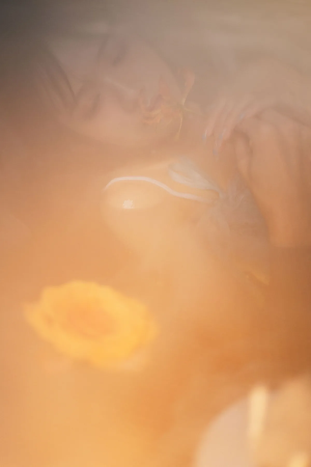 梦莲
