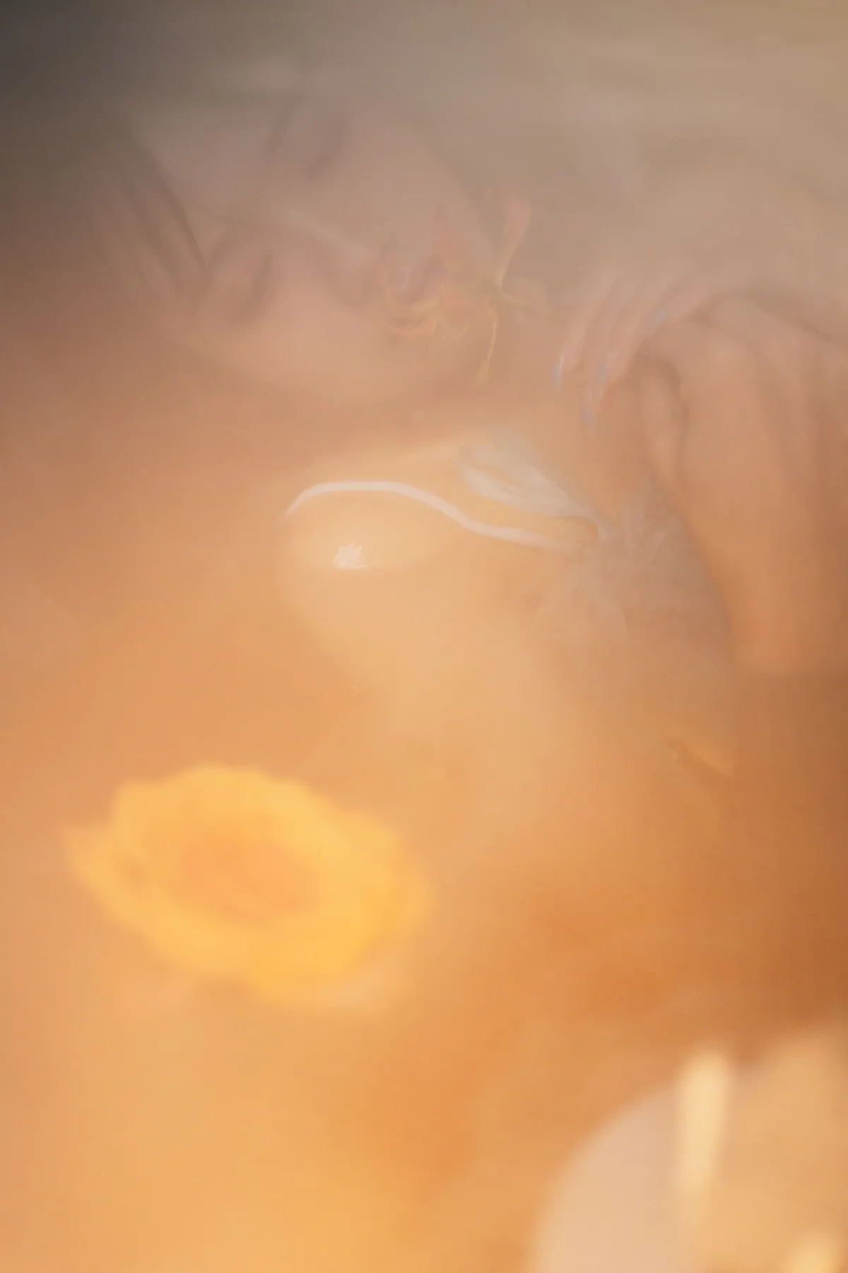 梦莲2