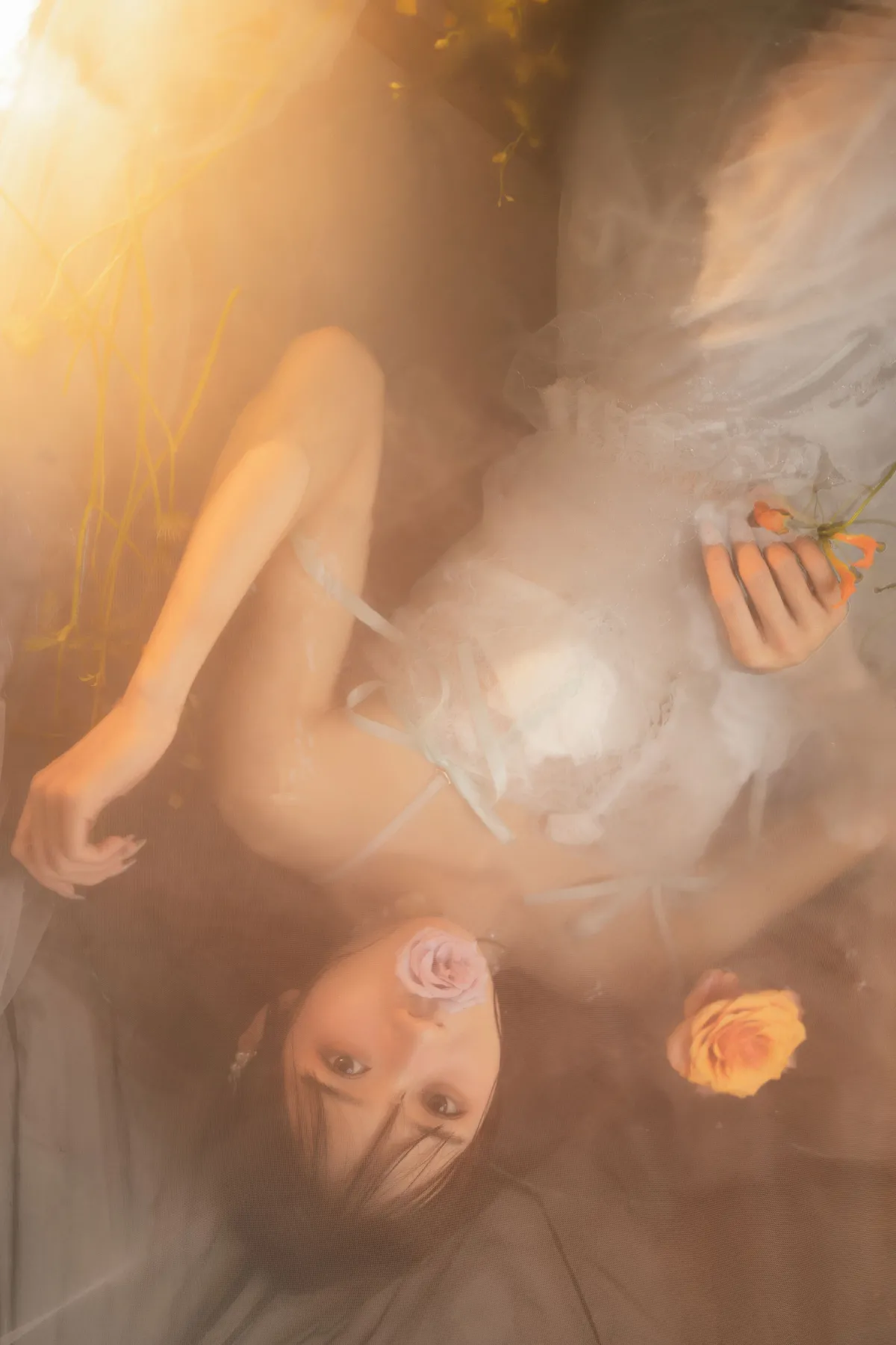 梦莲