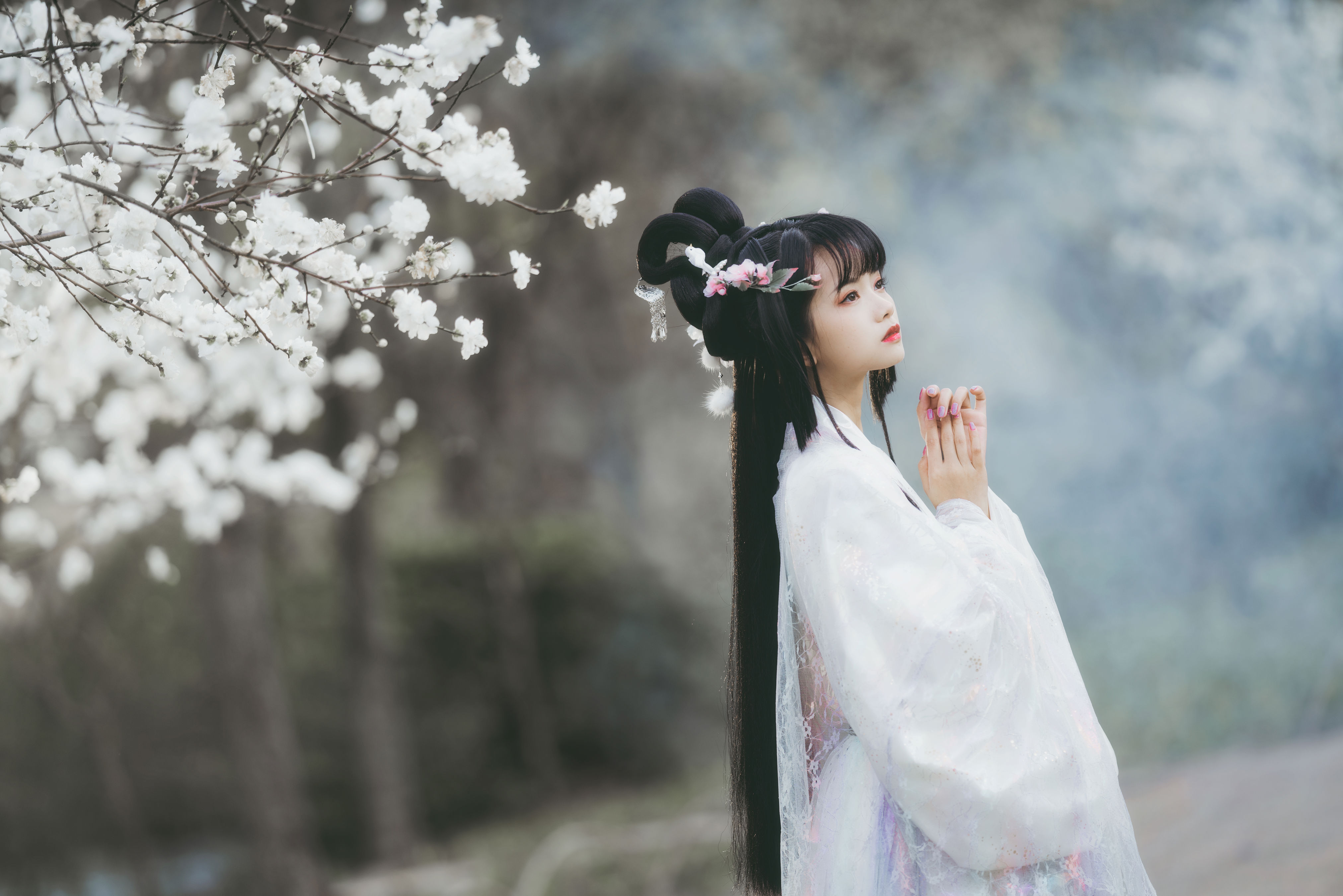 广寒宫