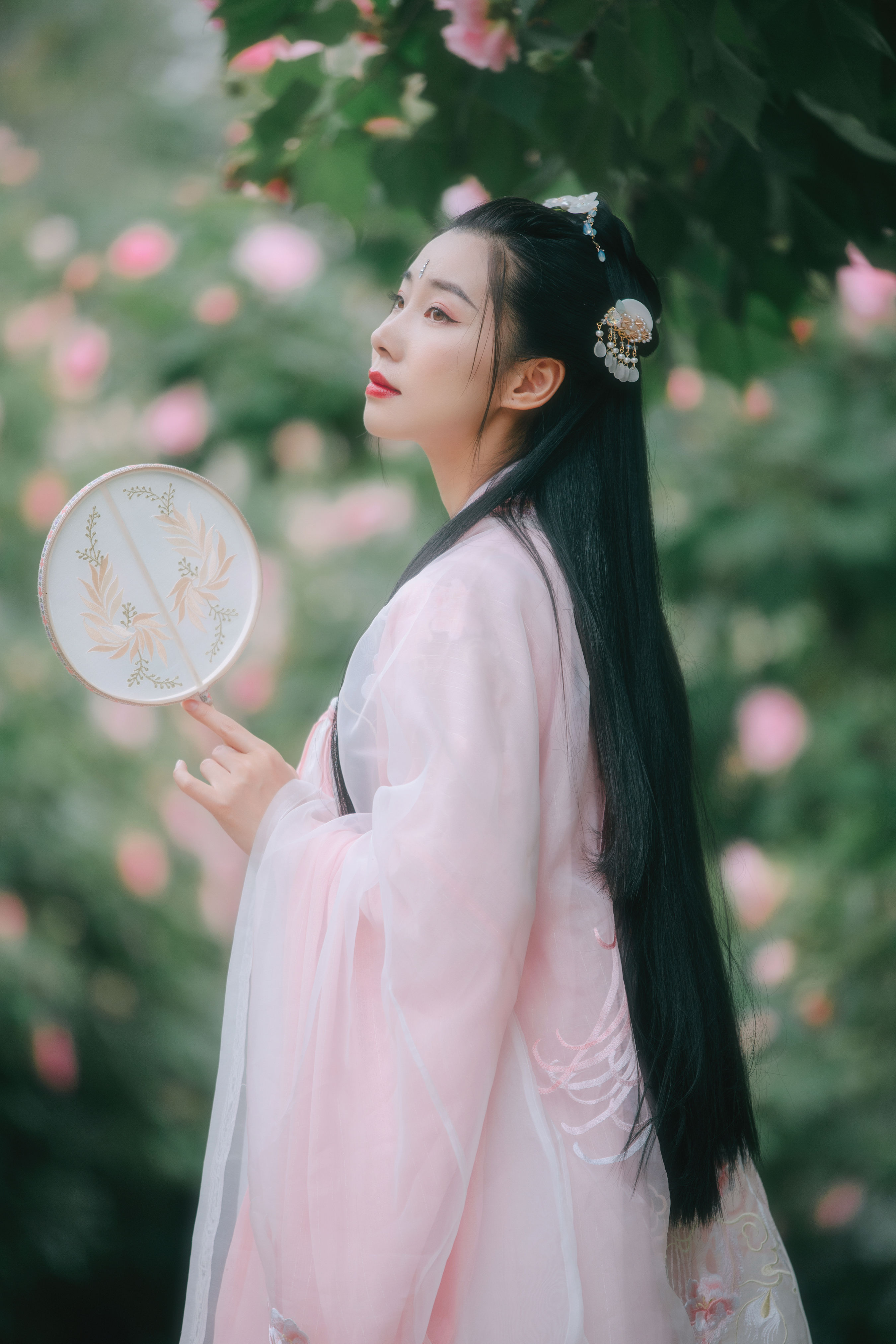 粉蝶
