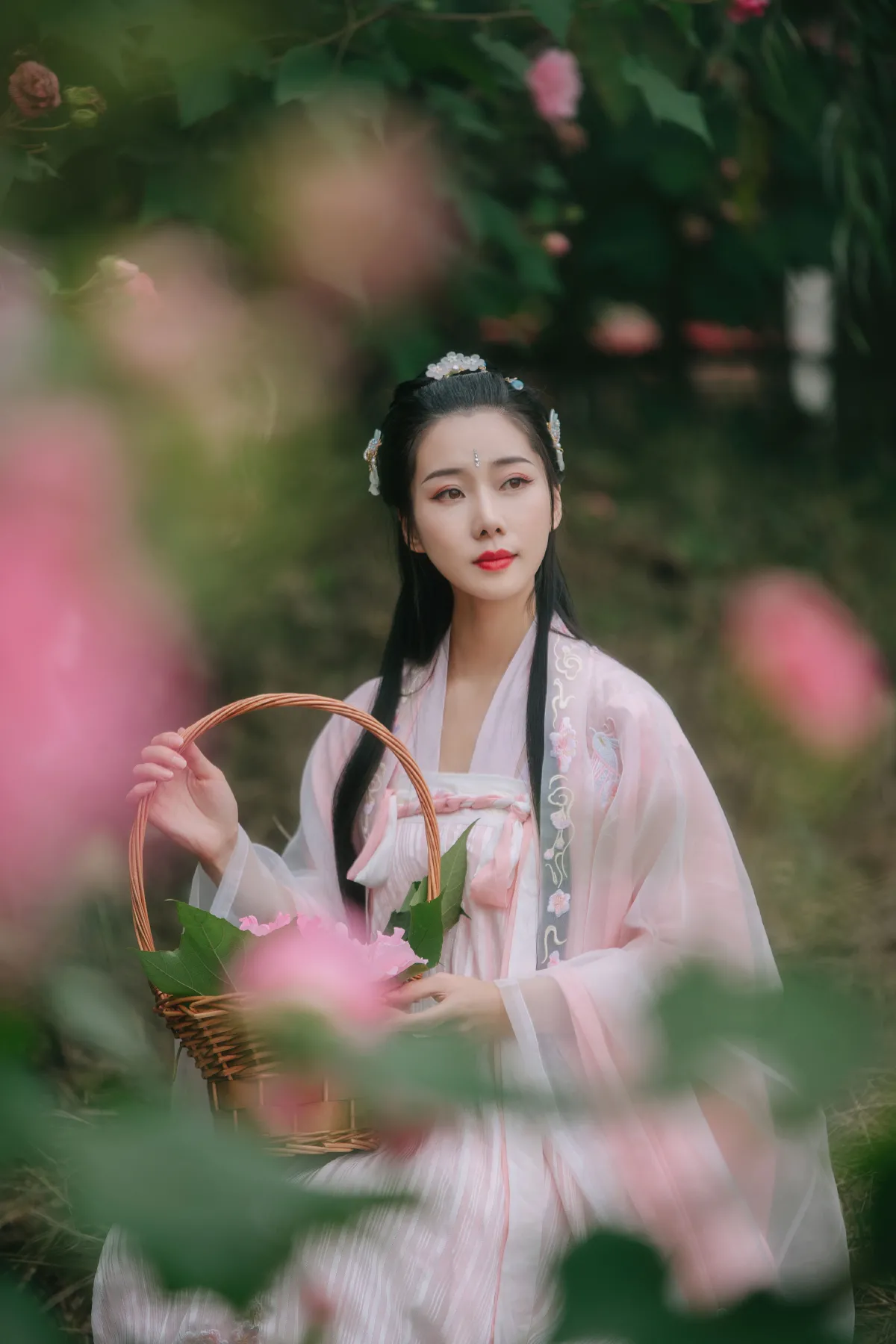 粉蝶