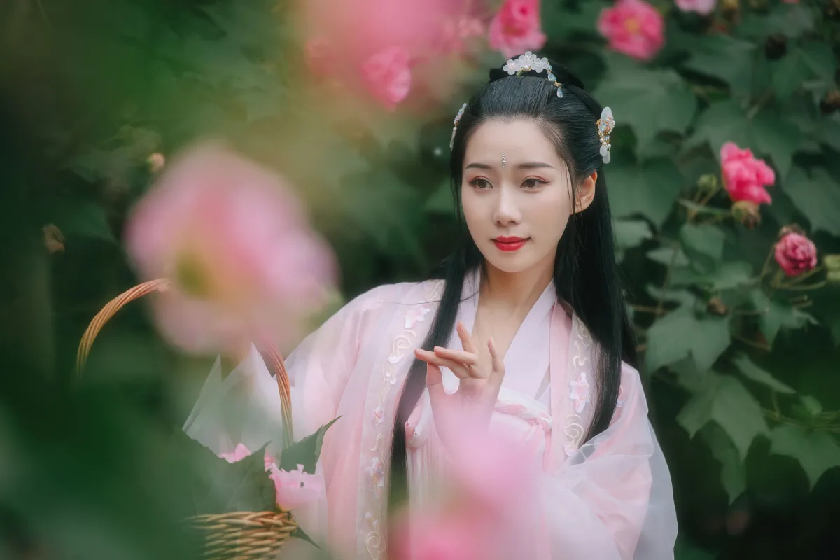 粉蝶