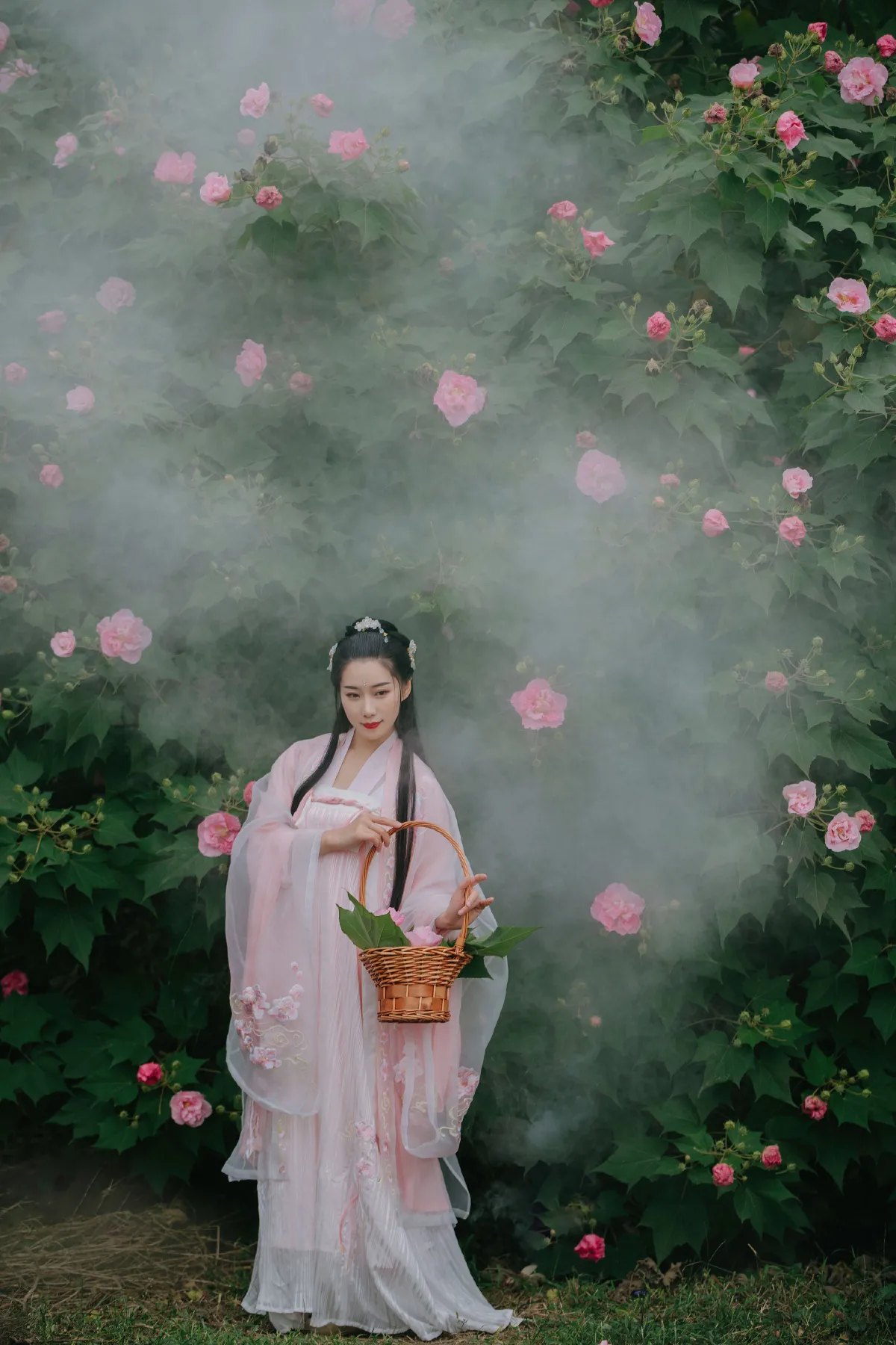 粉蝶
