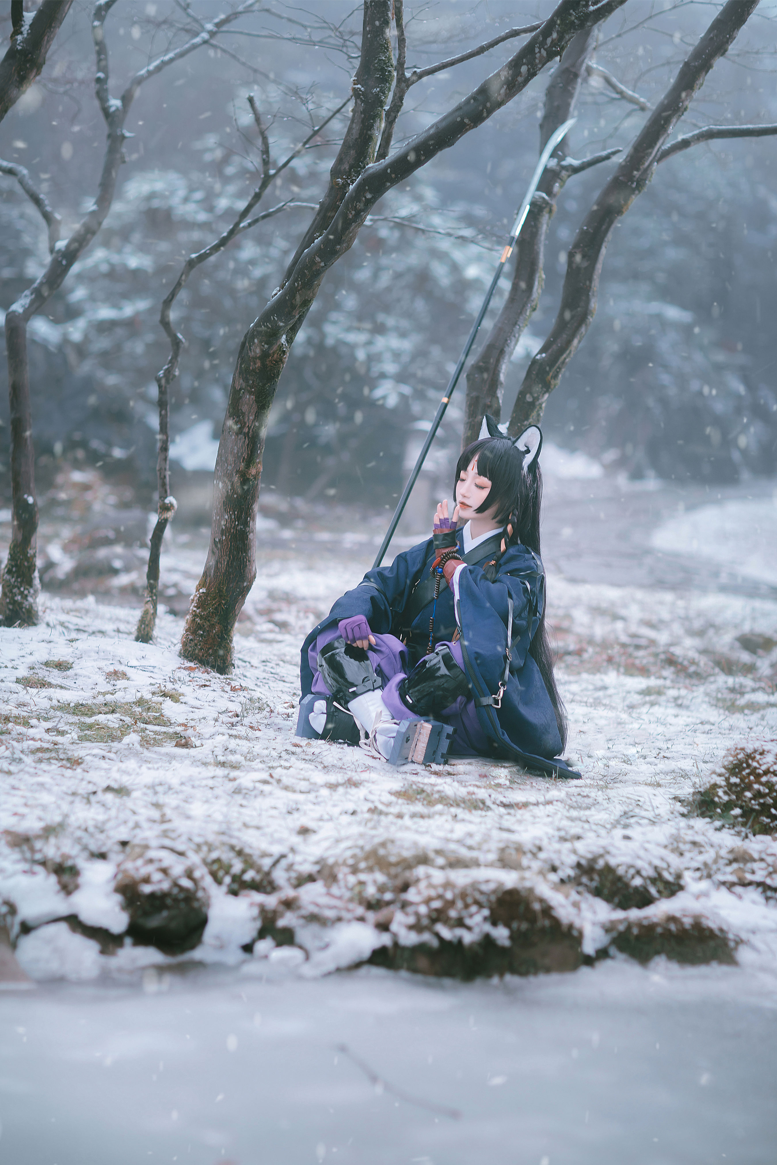 嵯峨 ~雪山的修炼