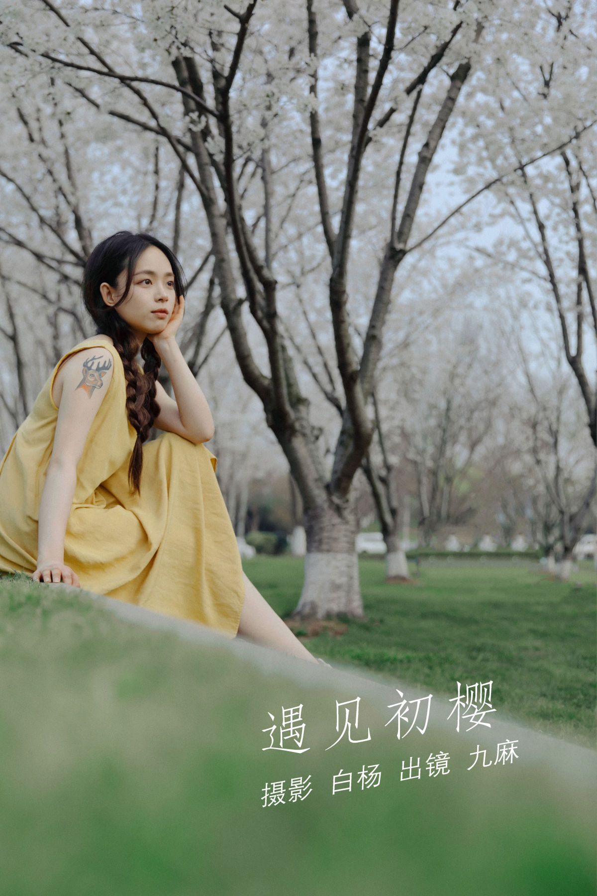 白杨_九麻MAA《遇见初樱》美图作品图片1