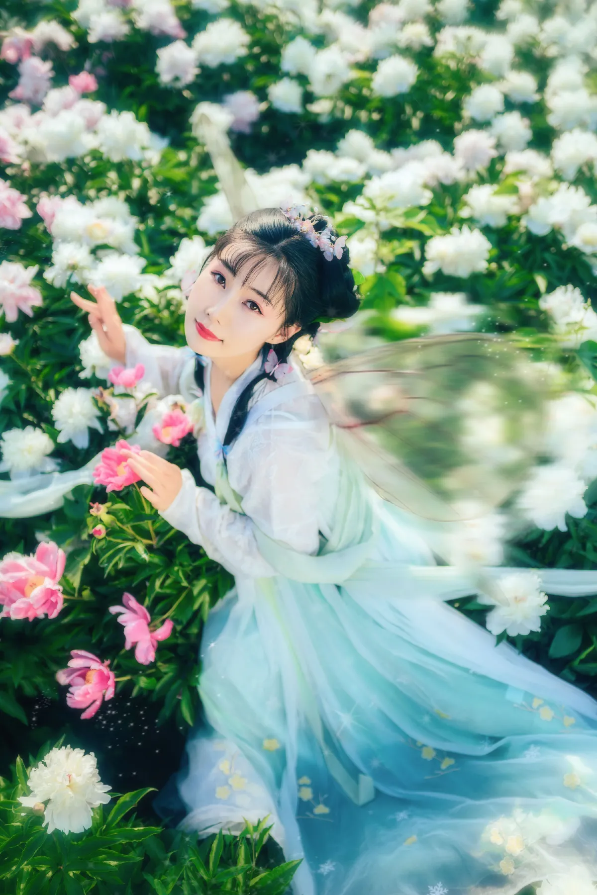 芍药仙