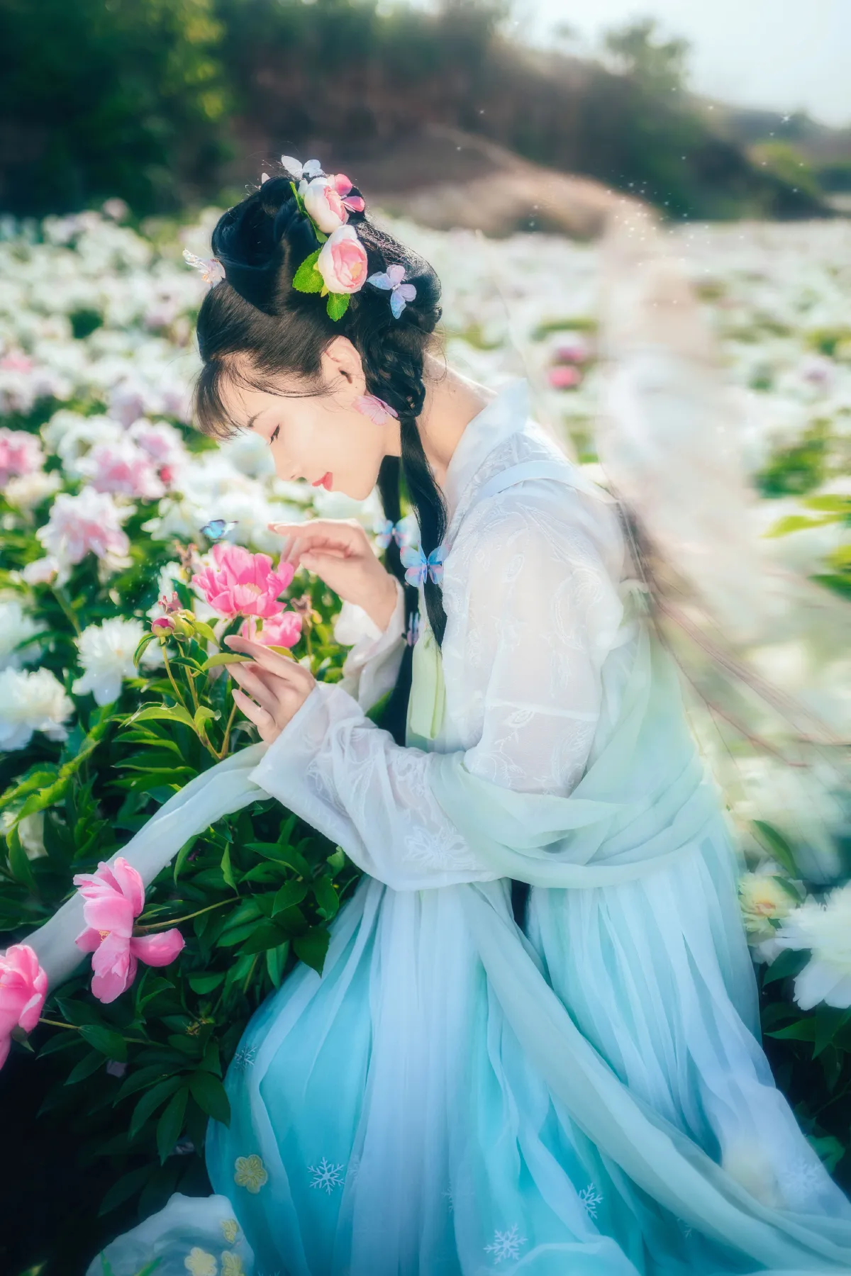 芍药仙