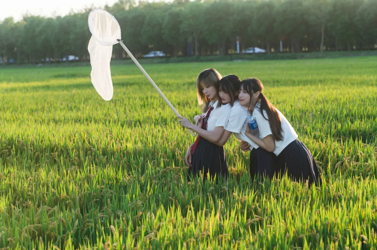 17岁的夏天