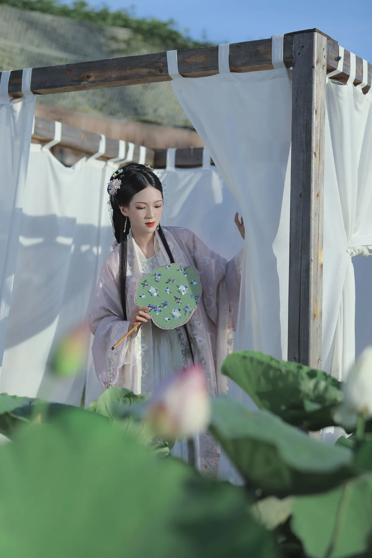 芙蓉1