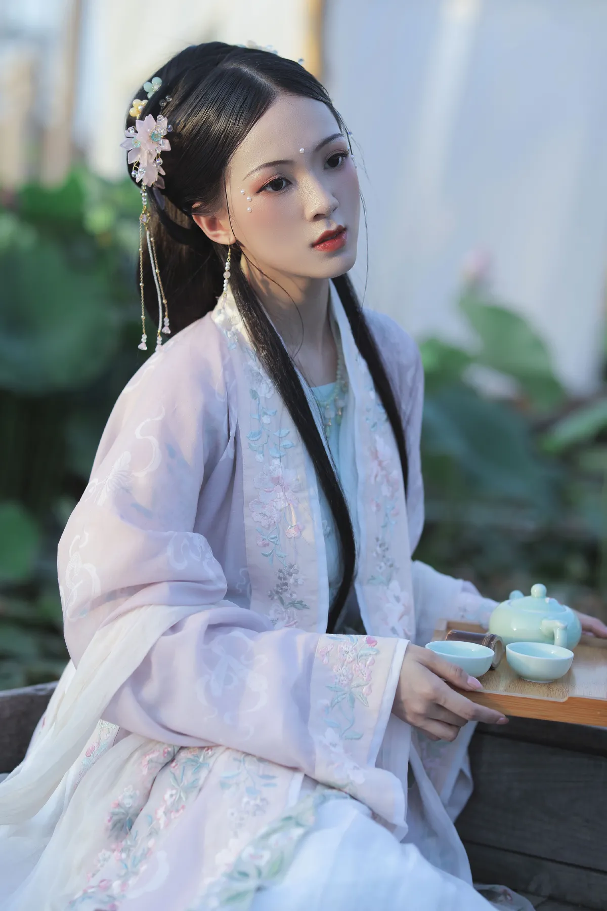 芙蓉